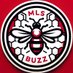 MLS Buzz (@MLS_Buzz) Twitter profile photo