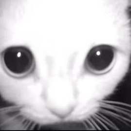 kxxtyxx66's profile picture. dni