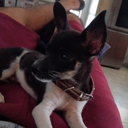 Bryan Roman - @BryanRoman60253 - Twitter