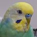 kururin-PI💕🐦️💕 (@kururin_pi) Twitter profile photo kururin-PI💕🐦️💕 (@kururin_pi) Twitter profile photo