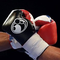 Boxing Streams live Free TV(@GoliveBoxing) 's Twitter Profile Photo