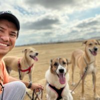 Manolo Ramirez (@mramirezgye) 's Twitter Profile Photo