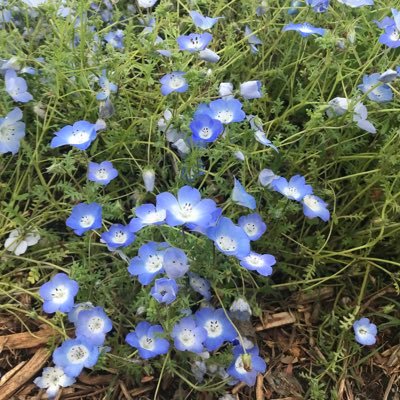 n1X0WaeH8343664's profile picture. 