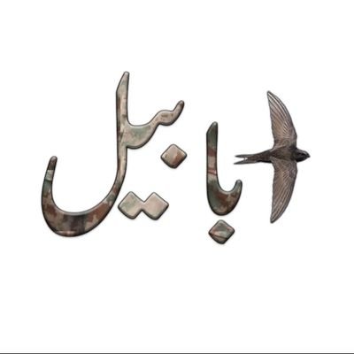 AbabeeL1417's profile picture. .......... I  Love's ........

Kashmir.  Martyr's