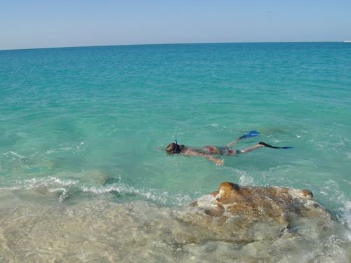 RobinRShield's profile picture. 