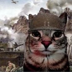 paulosuper_1's profile picture. oi twitter, eu voltei