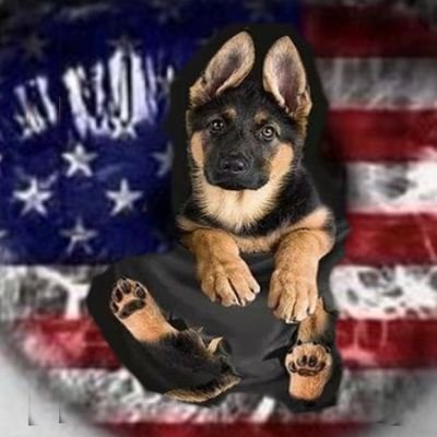 4 Generations of k9 Patriots MOS 5803
German shepherd , Malinois & Dutch for  the People,Military, police, etc
P.T.S.D support with k9's 
God is in our hearts.