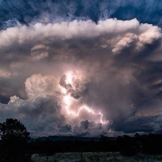 kacloud9's profile picture. Free speech advocate.