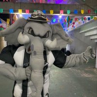 Elefante do ABC🐘(@ElefanteDoABC) 's Twitter Profile Photo