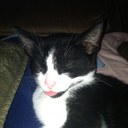 Taylor Willingham - @taywham - Twitter