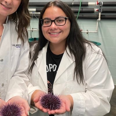 WLU Biology MSc Candidate 💜💛 | Exploring the growth of juvenile mummichog (Fundulus heteroclitus) exposed to environmental contaminants | QueensU Grad 🎓