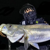 高塚俊彦 (@toshizou0036) 's Twitter Profile Photo