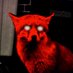 JohnPlunkettActual (@actualplunkett) Twitter profile photo JohnPlunkettActual (@actualplunkett) Twitter profile photo