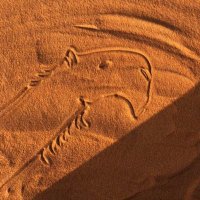 شُجاع (@shoja_alnemar) Twitter profile photo