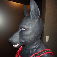 黒い犬 (@puppynoirml) 's Twitter Profile