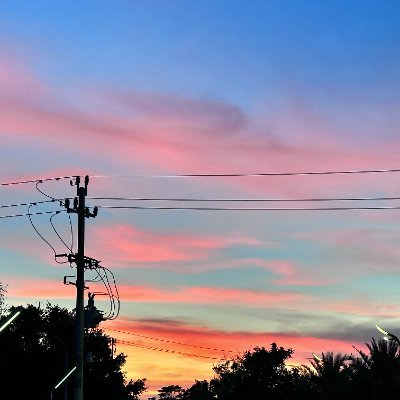 ParisianLe79309's profile picture. 