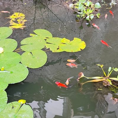 Colin159357's profile picture. 