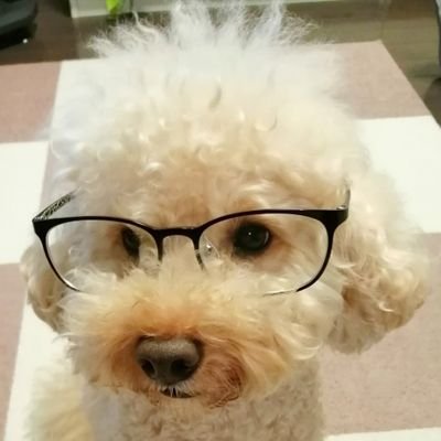 he_is_Abbey's profile picture. 日中戦争、アジア・太平洋戦争について調べています（最近は特に「兵士の自殺」について）🖤アイコンは元保護犬のアビィ君です🖤戦争についてのnoteはこちら→https://t.co/QtMZ690P3L