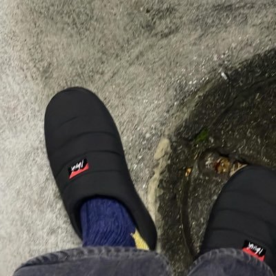 hitori_stw's profile picture. 