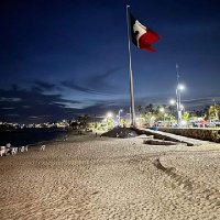 Vicente Garcia Nieves (@vicentegarciabe) 's Twitter Profile