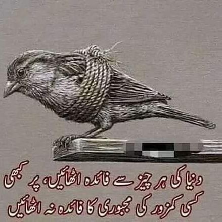 jamshed08992893's profile picture. Be Happy every time