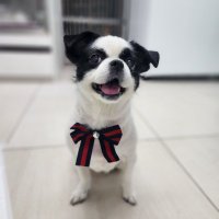 변현우 (@sc2byun) 's Twitter Profile