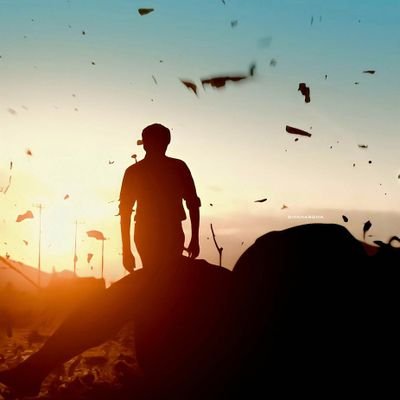 veerapogusreen2's profile picture. 