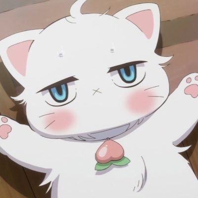 PigletBf Profile Picture