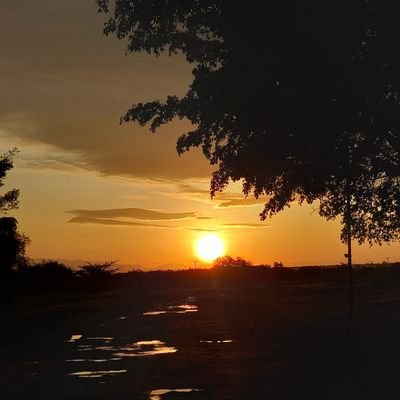 BERNARD14236099's profile picture. #patriot