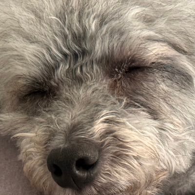 Kimbezさんのプロフィール画像