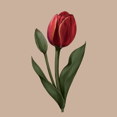 tulipsnns's profile picture. ☻︎ justbeatulip ⚘