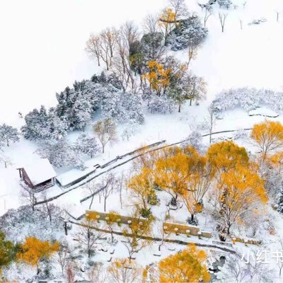 PingHan97391's profile picture. 