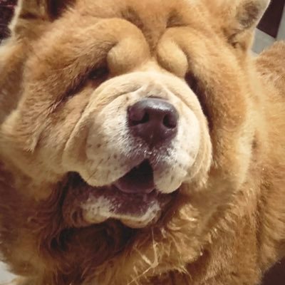 maxxxxblackkkk's profile picture. 