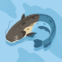 Ella Hoover - @HooverElla88126 - Twitter