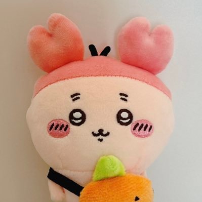 spoon_de_sukuuu's profile picture. 20⬆️︎┊ぬいを愛す一人言アカウント┊🎏🌙🎏┊右🌙も好き┊フォロ外通知切っちょりﾓｽ