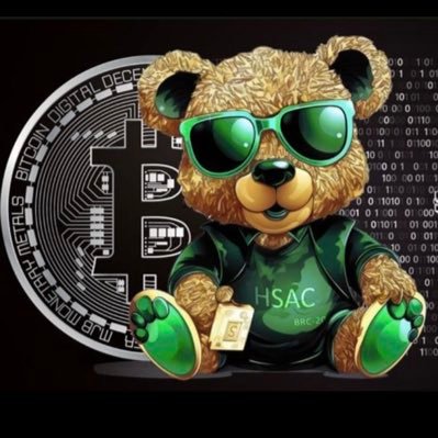 BRC20TOPWINNERS's profile picture. SOLANA MEMES AND BRC-20