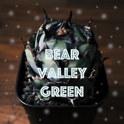 BearValleyGreen Profile Picture