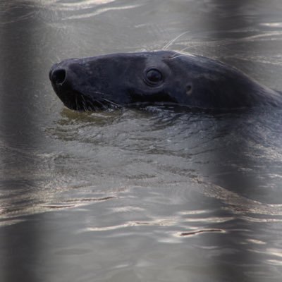 stevemcg21's profile picture. 