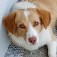 DR MR VANJA (@stevanvanja) 's Twitter Profile