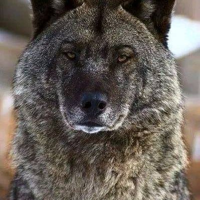 BekyarovaD52914's profile picture. 
