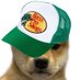 quasi (@motocap_) Twitter profile photo quasi (@motocap_) Twitter profile photo