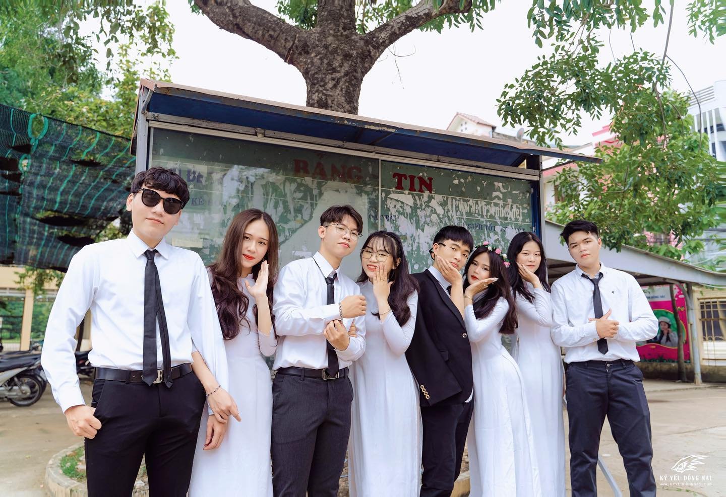 Rooteet117478's profile picture. Mong bạn sẽ bớt tổn thương , Bạn vẫn có thể bắt kịp khi bạn đột nhiên tỉnh dậy