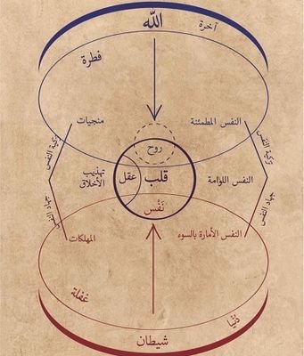 CemilGunesli97's profile picture. İmanın kuvveti ve izzeti, meltemde değil, fırtınada belli olur.
Rüzgâr tersten estiğinde yere düşmeyen ağaç, kökü sağlam ağaçtır.