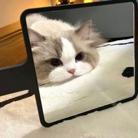 Cenough (@cenough469788) 's Twitter Profile