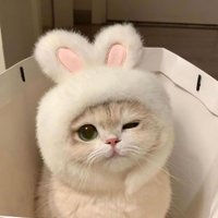 Sothe (@sothe278020) 's Twitter Profile