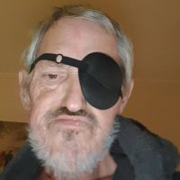 Left eye Lee (@collinghamlee) 's Twitter Profile
