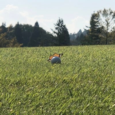 UDFa94ySeneIxee's profile picture. ゴルフと筋トレ頑張ってます！バーボンも好きです！野球はドラゴンズ一筋！