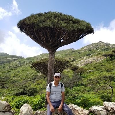 AbdulmalekNassr's profile picture. 