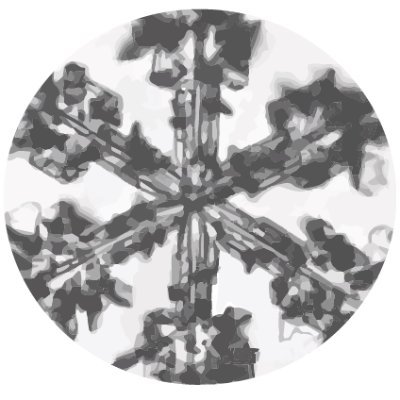 Cognition in Comparative Poetics. Research and Education Initiative at the @usal