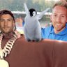 lalpengu's profile picture. Heidenheim X Hoffenheim | David Otto für Deutschland